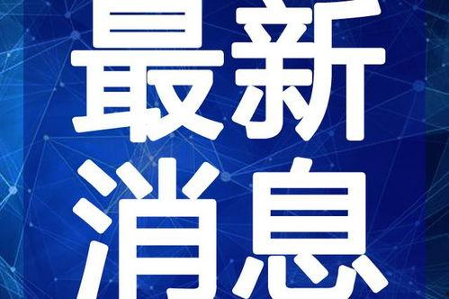 青枫骇客最新爆料视频,揭秘神秘事件内幕