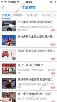 海门网红爆料新闻视频下载,事件详情曝光 第1张 海门网红爆料新闻视频下载,事件详情曝光 第1张